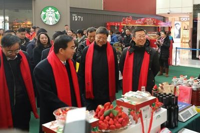 【重點(diǎn)關(guān)注】2019大連草莓文化旅游節(jié)暨農(nóng)業(yè)產(chǎn)品博覽會(huì)隆重啟幕