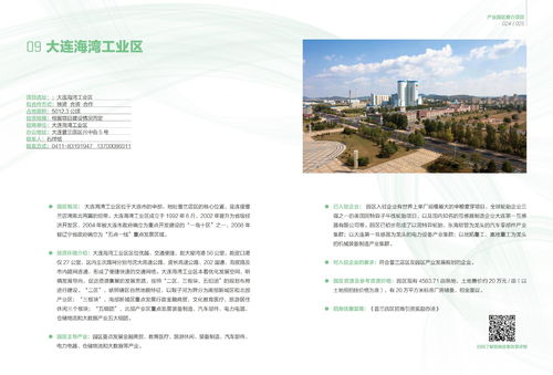 大連市產(chǎn)業(yè)園區(qū)招商項目推介 二